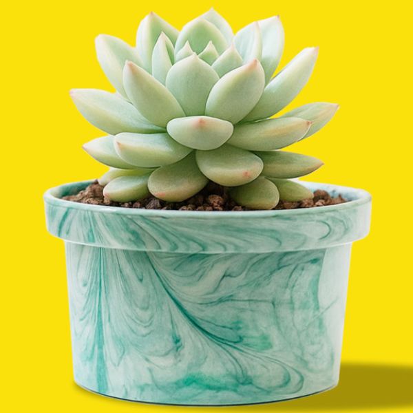 부천·경기·인천·서울 금형 사출 포트폴리오 - 폐플라스틱제품 (플라스틱/실리콘 사출, 시제품·소량·대량 생산 사례)